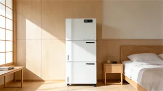 US Energy Storage Monitor